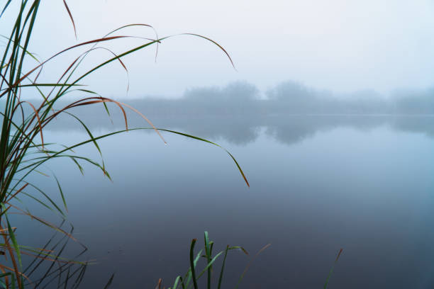 istock Fog in the early morning on a small lake 1076100166