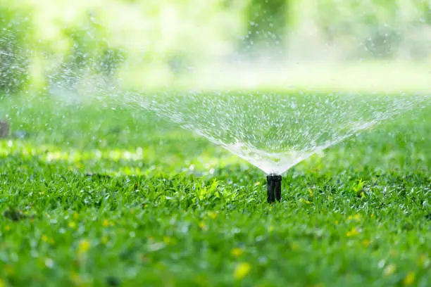 Automatic Garden Lawn sprinkler in action watering grass.