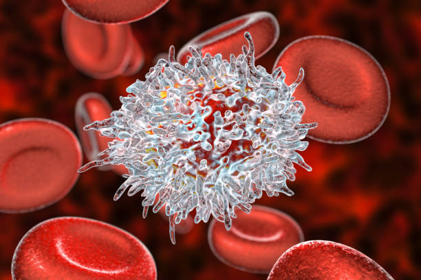 hairy cell leukemia - doen ça crónica ilustrações imagens e fotografias de stock