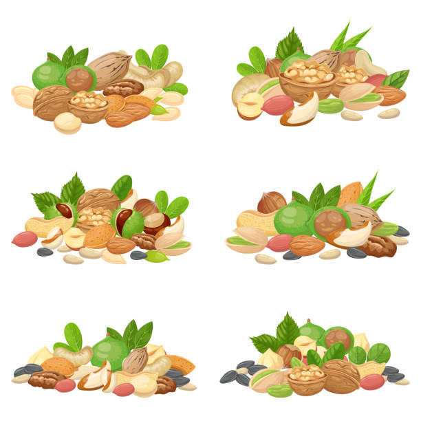 Nuts bunch. Fruit kernels, dried almond nut and cooking seeds isolated vector set Nuts bunch. Fruit kernels, dried almond nut and cooking seeds. Cellulose food macadamia, walnut and grain nuts. Agriculture diet seeding mix cartoon isolated vector icons set legume stock illustrations