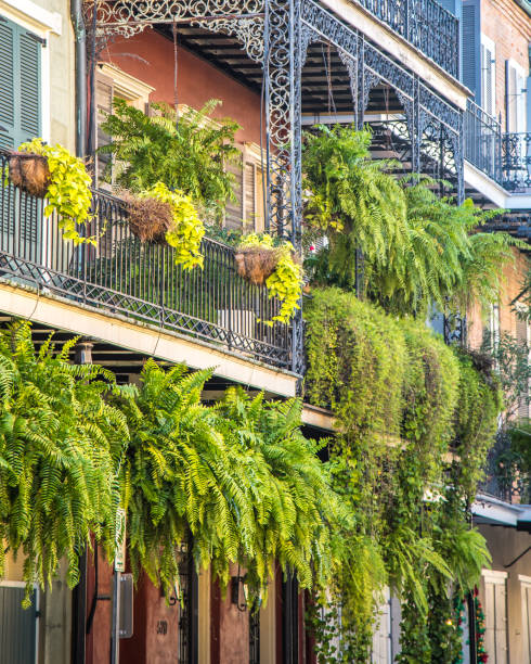 istock Balcony to New Orleans 1076128342