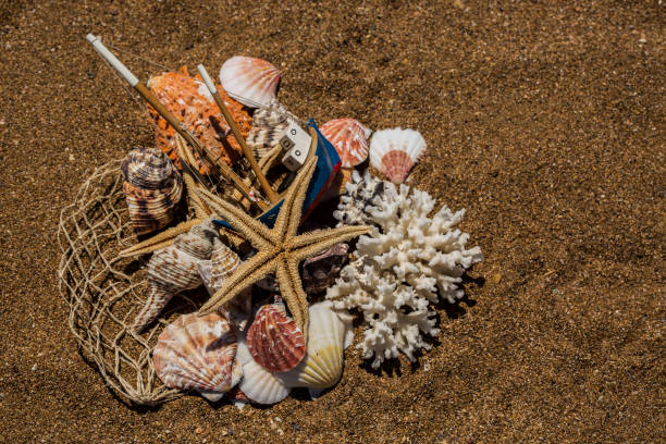 istock Starfishes, pearls, and amazing seashells close up 1076131938