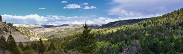 Late Summer early Fall panorama forest views hiking through trees in Indian Canyon, Nine-Mile Canyon Loop between Duchesne and Price on US Highway 191, in the Uinta Basin Range of Utah United States, USA stock photo