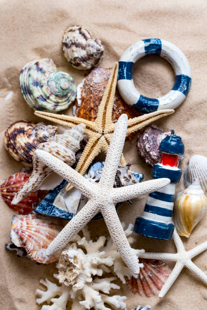 istock Starfishes, pearls, and amazing seashells close up 1076135866