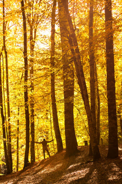 Man and nature in autumn time - Forest, river, lake