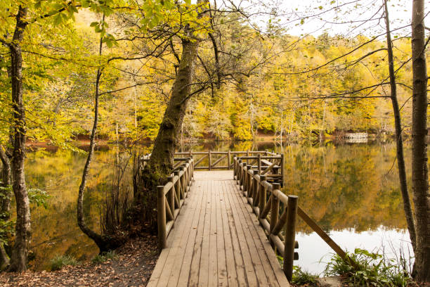 istock Nature in autumn time - Forest, rive, lake 1076147830