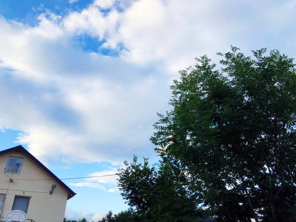 istock Outdoor in summer residence. The sky is clouded with clouds 1076148048