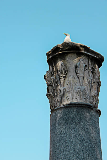 istock white seagull on top of an antique column 1076152154
