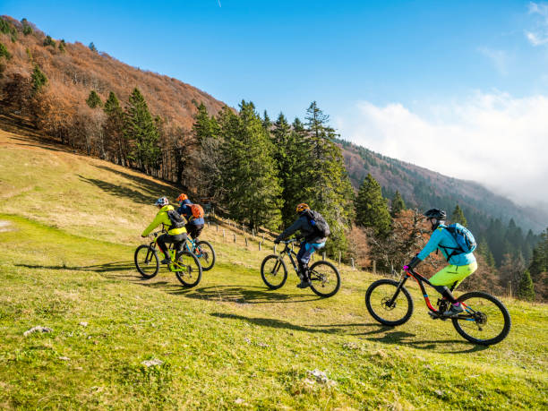 istock Side view of four friends mountain biking 1076160252