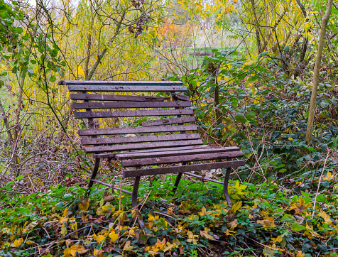 small old weathered wooden bench in the forest in autumn season