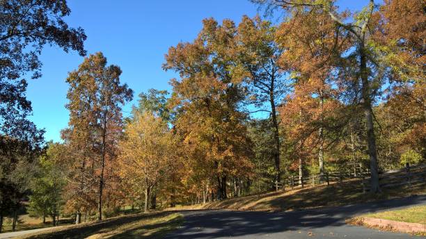 istock Autumn Afternoon in Kentucky 1076182950