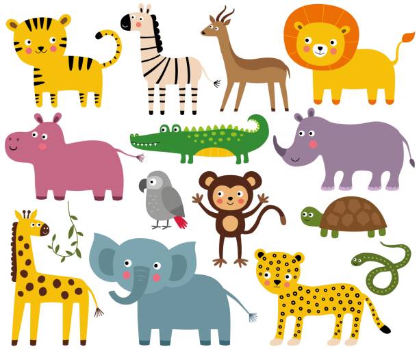 ilustraciones, imágenes clip art, dibujos animados e iconos de stock de set de vectores animales selva africana (elefante, león, cocodrilo, mono y más) - cartoon giraffe young animal africa