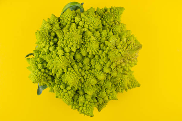 Bright green Romanesco broccoli (Roman cauliflower) isolated on a bright yellow background, top view, minimal concept