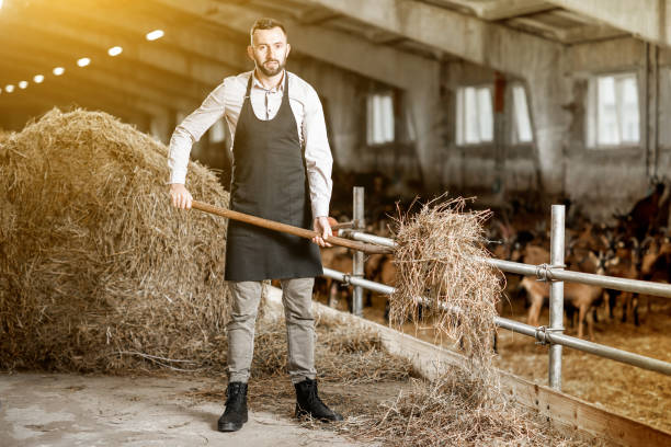 istock Farmer with hay in the stable 1076203608