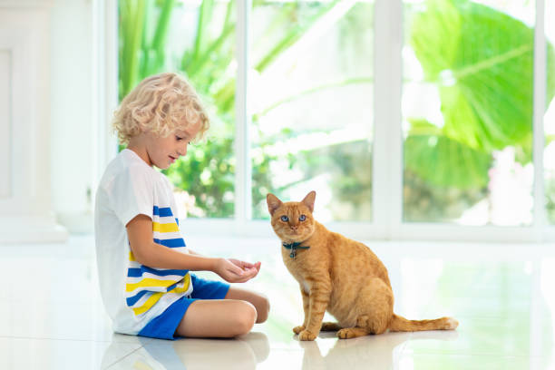 istock Child feeding home cat. Kids and pets. 1076204006