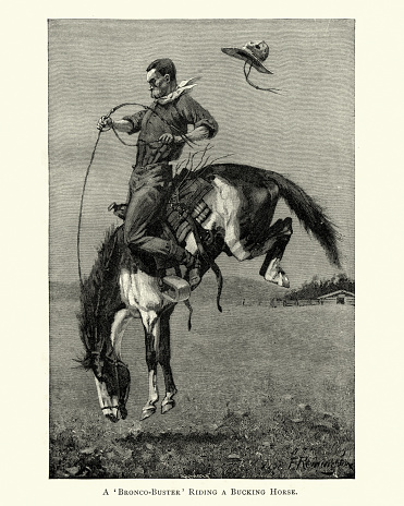 Vintage engraving of a Bronco buster riding a bucking horse, 19th Century