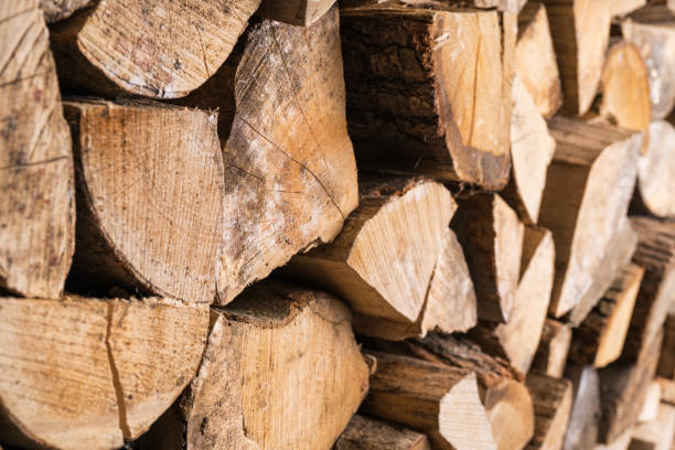 istock Stacked seasoned oak and beech wood. 1076224388