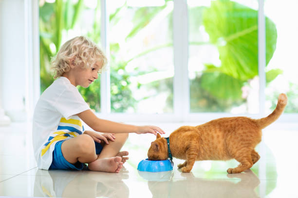 istock Child feeding home cat. Kids and pets. 1076235238