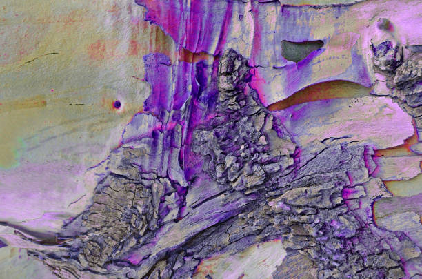 the bark of a old tree. magical unreal Violet texture background
