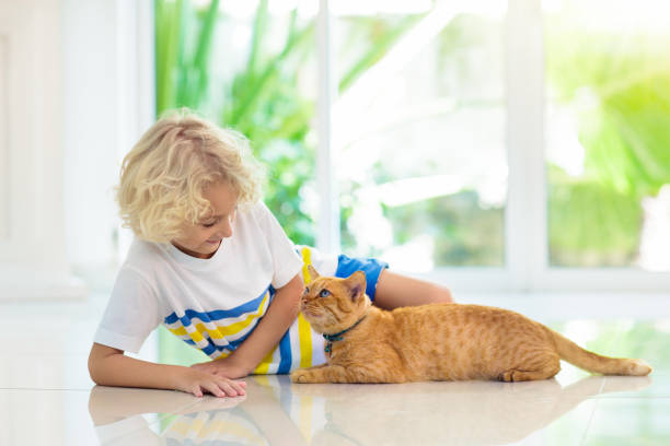 istock Child feeding home cat. Kids and pets. 1076247612