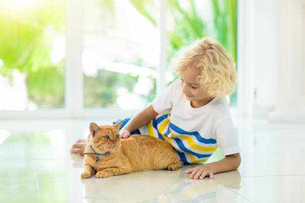 istock Child feeding home cat. Kids and pets. 1076249912