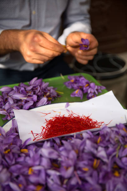 istock Saffron in Safranbolu 1076256602