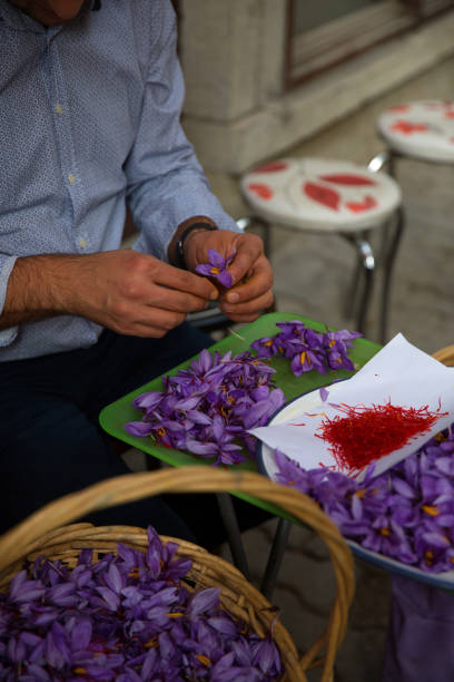 istock Saffron in Safranbolu 1076258440