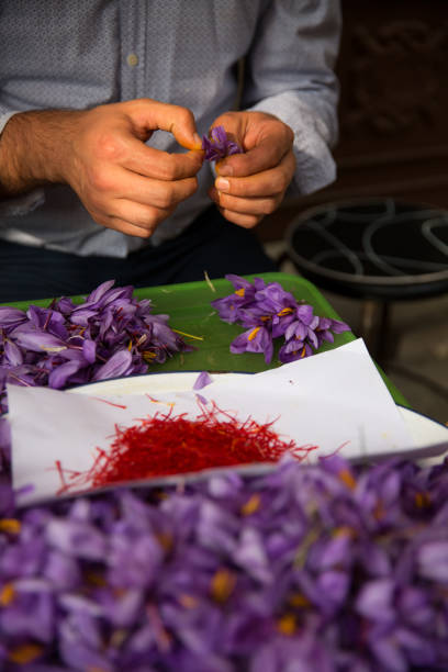 istock Saffron in Safranbolu 1076258972