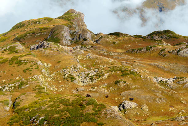 istock rocky cloudy mountain landscape 1076259250