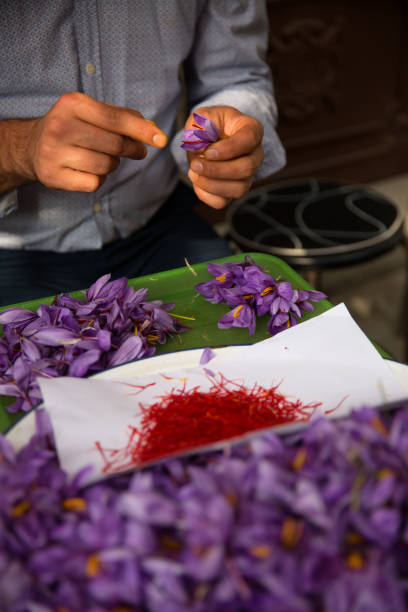istock Saffron in Safranbolu 1076262198