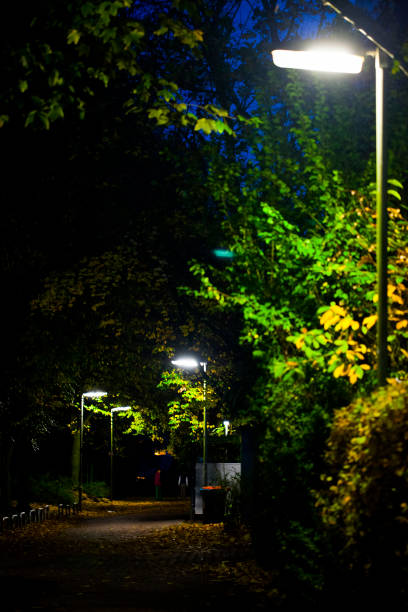 istock Street Lamp at Night in the Dark 1076262250