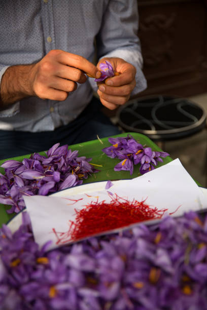 istock Saffron in Safranbolu 1076262930
