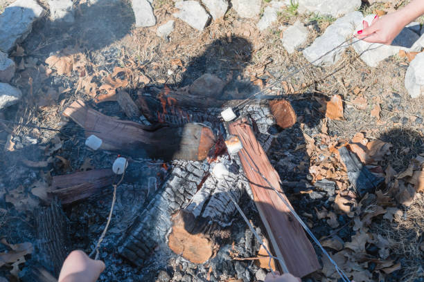 istock Beautiful women hands roasting marshmallow over outdoor campfire 1076286056