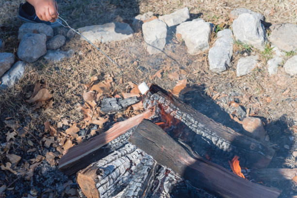 istock Man hand grilling marshmallow over outdoor campfire 1076287060