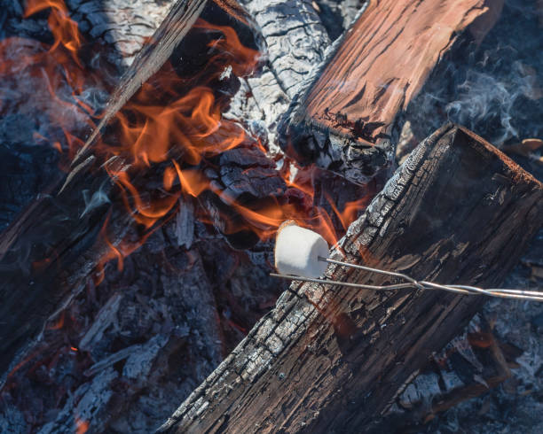 istock Marshmallow barbecue over outdoor campfire 1076291790