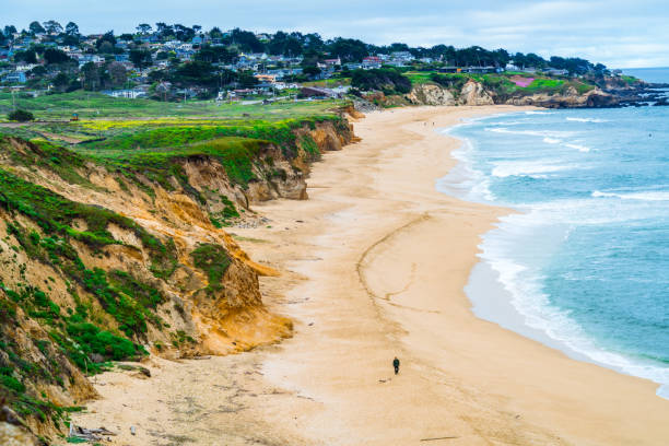 istock Walking along Endless California Beach 1076292590