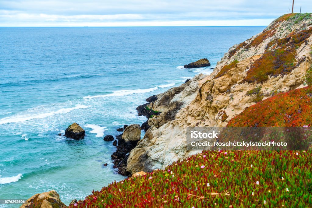 California Pacific Coast paraíso primavera tempo as flores florescendo ao longo da costa rochosa - Foto de stock de Aposentadoria royalty-free California Pacific Coast paraíso primavera tempo as flores florescendo ao longo da costa rochosa - Foto de stock de Aposentadoria royalty-free