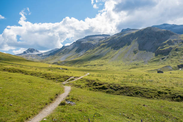 istock Beautiful Swiss mountain landscape green grass, blue sky, white clouds, summer day, paved paths 1076304930