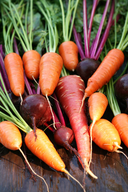 istock Bounty from an organic garden 1076323028