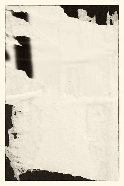 istock Blank brown beige old paper crumpled creased ripped torn posters grunge textures backdrop backgrounds 1076323220