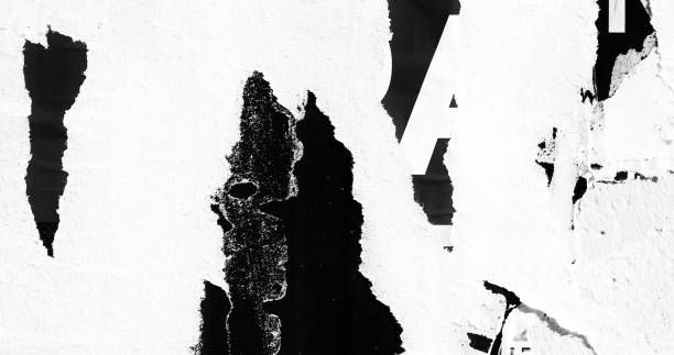 istock Blank white black old ripped torn paper crumpled creased posters grunge textures backdrop backgrounds placard 1076327952