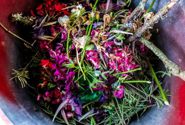 istock Waste bin full of garden clippings 1076330304