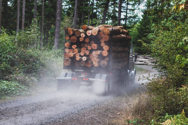 istock Logging truck hauling a full load down a dusty dirt road 1076330700