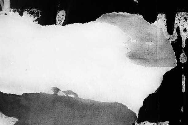 istock Blank white black old ripped torn paper crumpled creased posters grunge textures backdrop backgrounds placard 1076338640