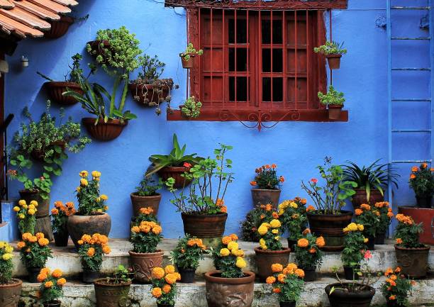 casa azul - 4738 - fotografias e filmes do acervo