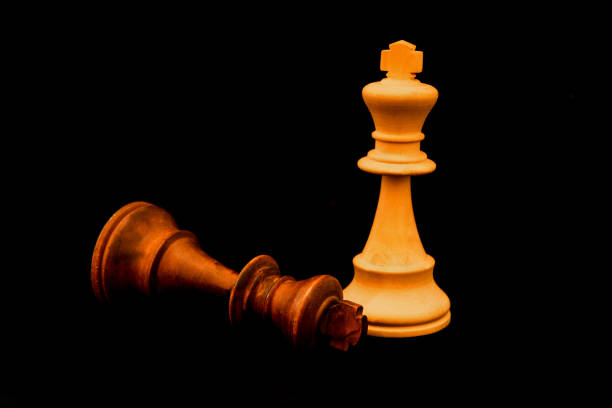 istock Black King surreder to White King 1076350548