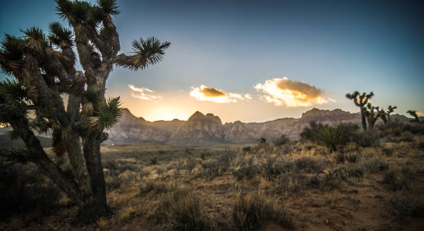 istock red rock canyon las vegas nevada at sunset 1076351822