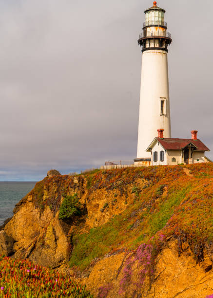 istock Northern California Lighthouse at Pigeon Point 1076351830