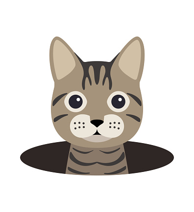 cute cat on the hole,watching  vector illustration