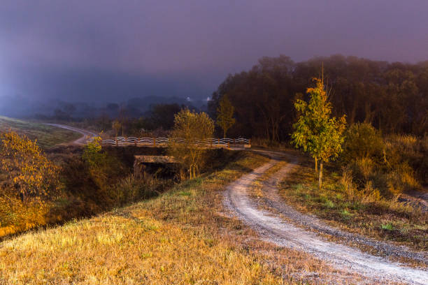 Morning of misty wetlands
